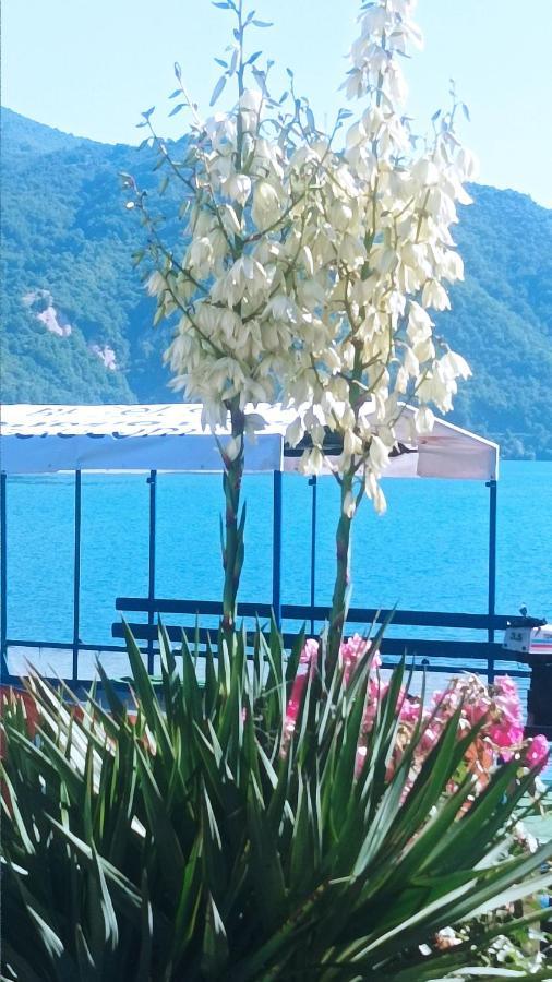 Dina Apartman Jablanicko Jezero Konjic Extérieur photo