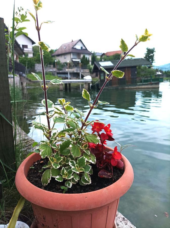 Dina Apartman Jablanicko Jezero Konjic Extérieur photo